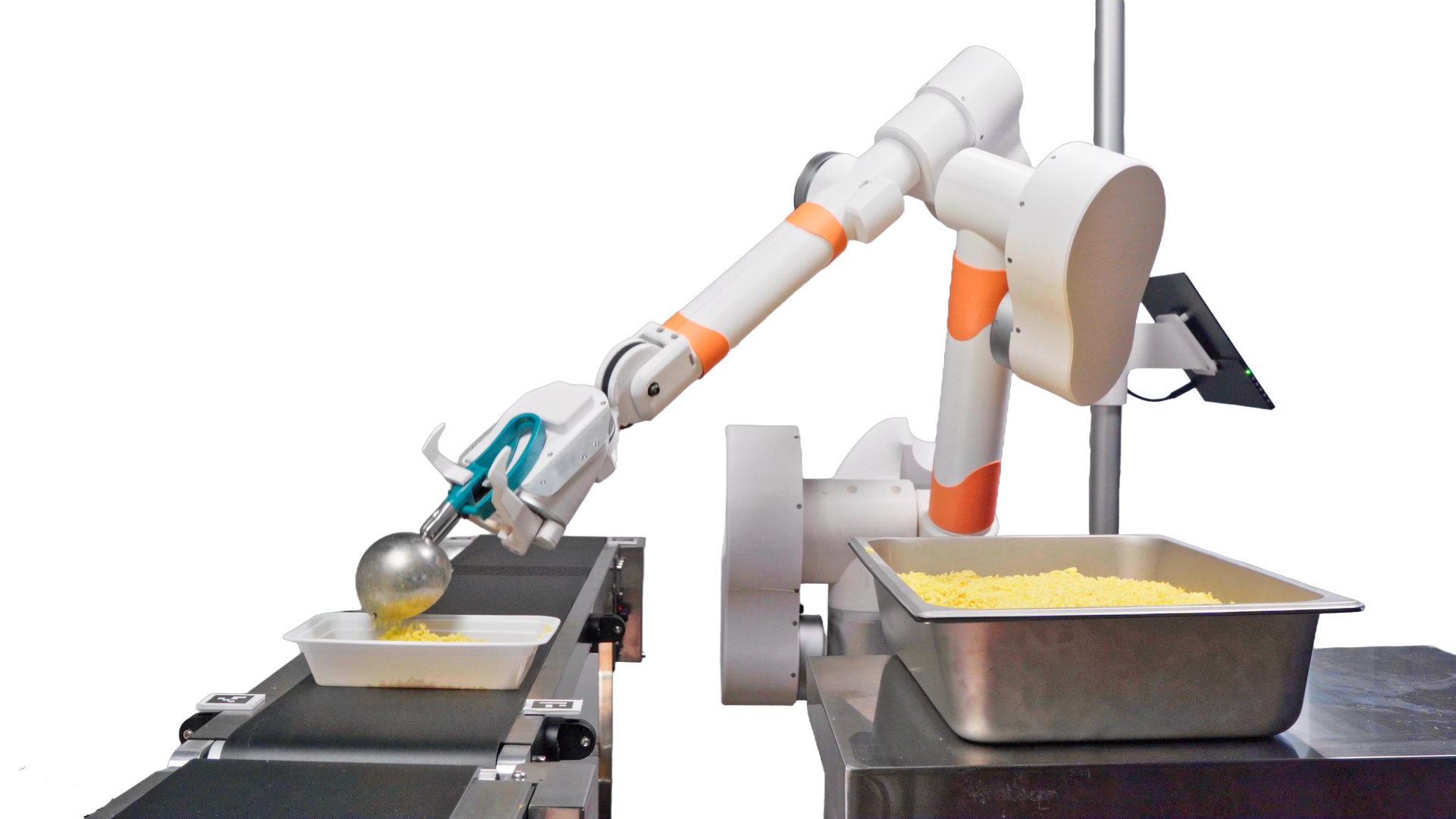 Animo robot arm portioning food into meal trays on a conveyor belt